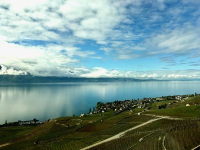 Lac Léman à Lausanne (Suisse)
